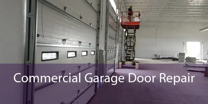 Commercial Garage Door Repair 